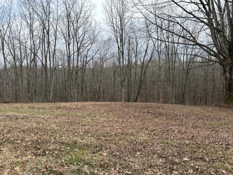 0 Tug Drive Waverly TN 37185