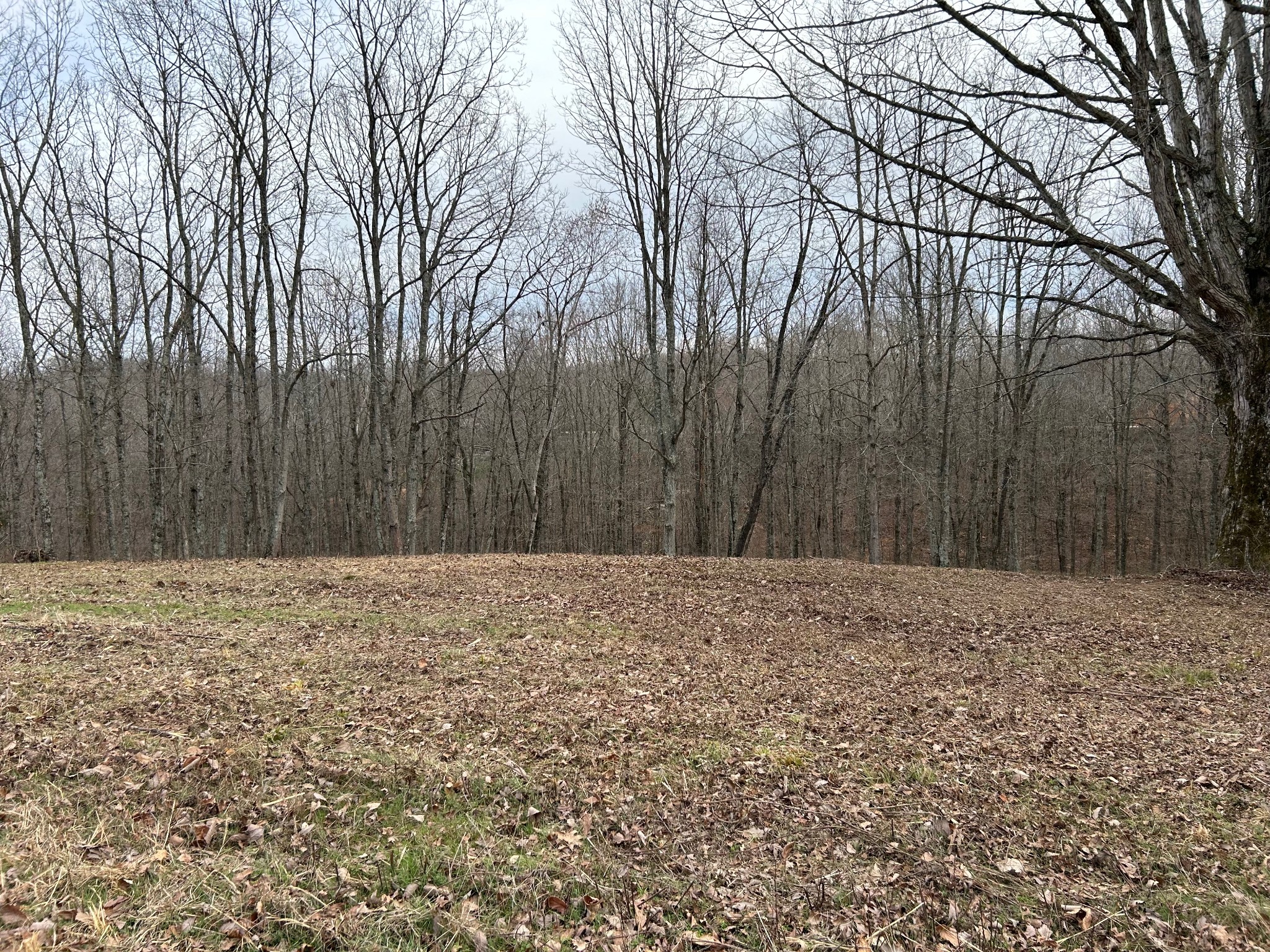 0 Tug Drive Waverly TN 37185
