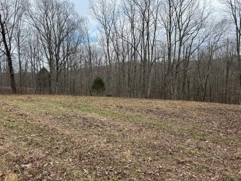 0 Tug Drive Waverly TN 37185