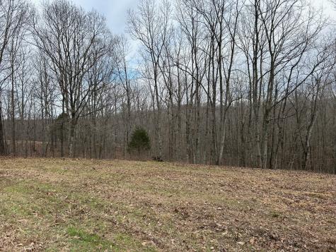 0 Tug Drive Waverly TN 37185