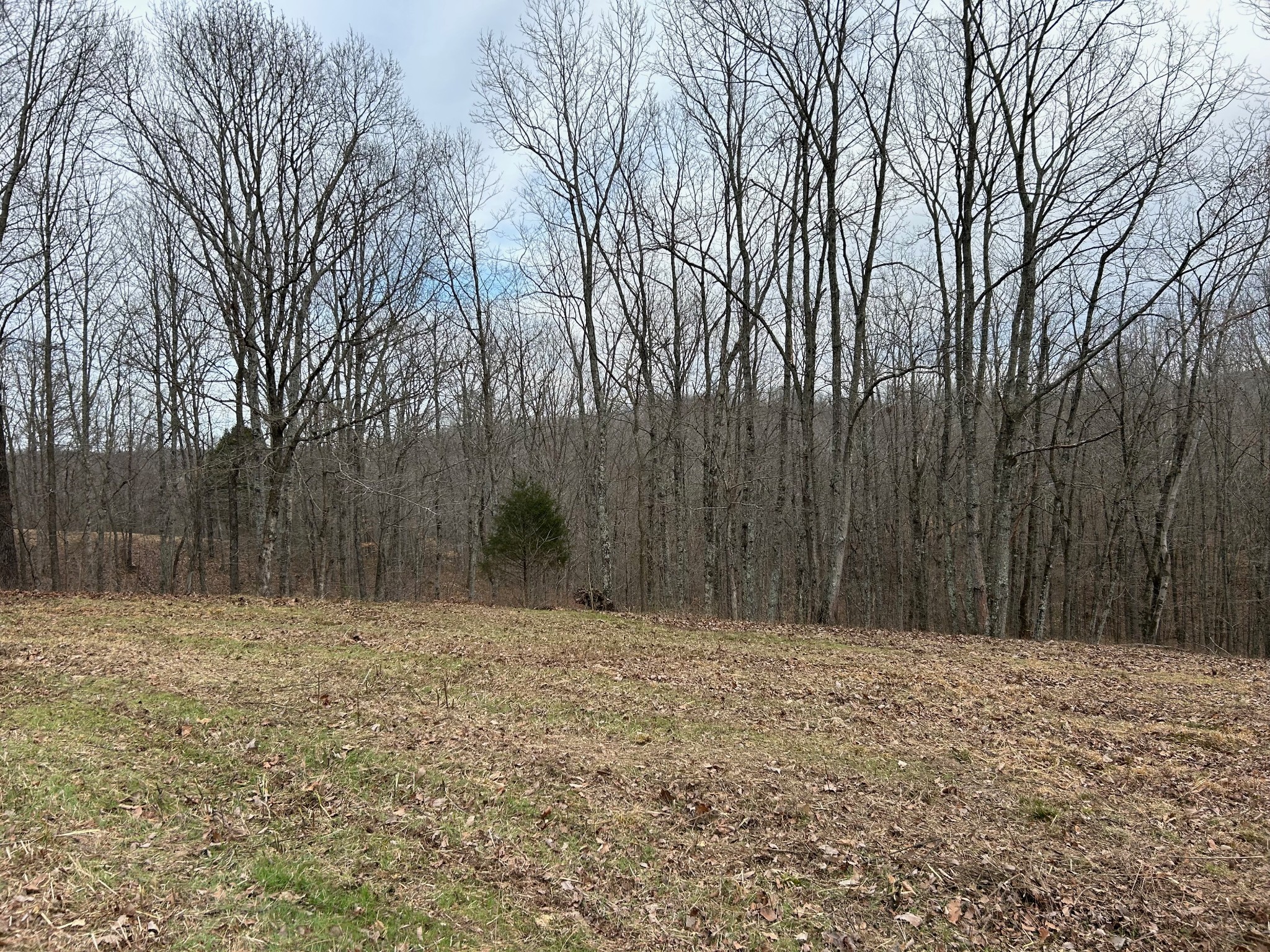 0 Tug Drive Waverly TN 37185