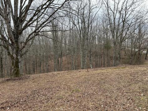 0 Tug Drive Waverly TN 37185