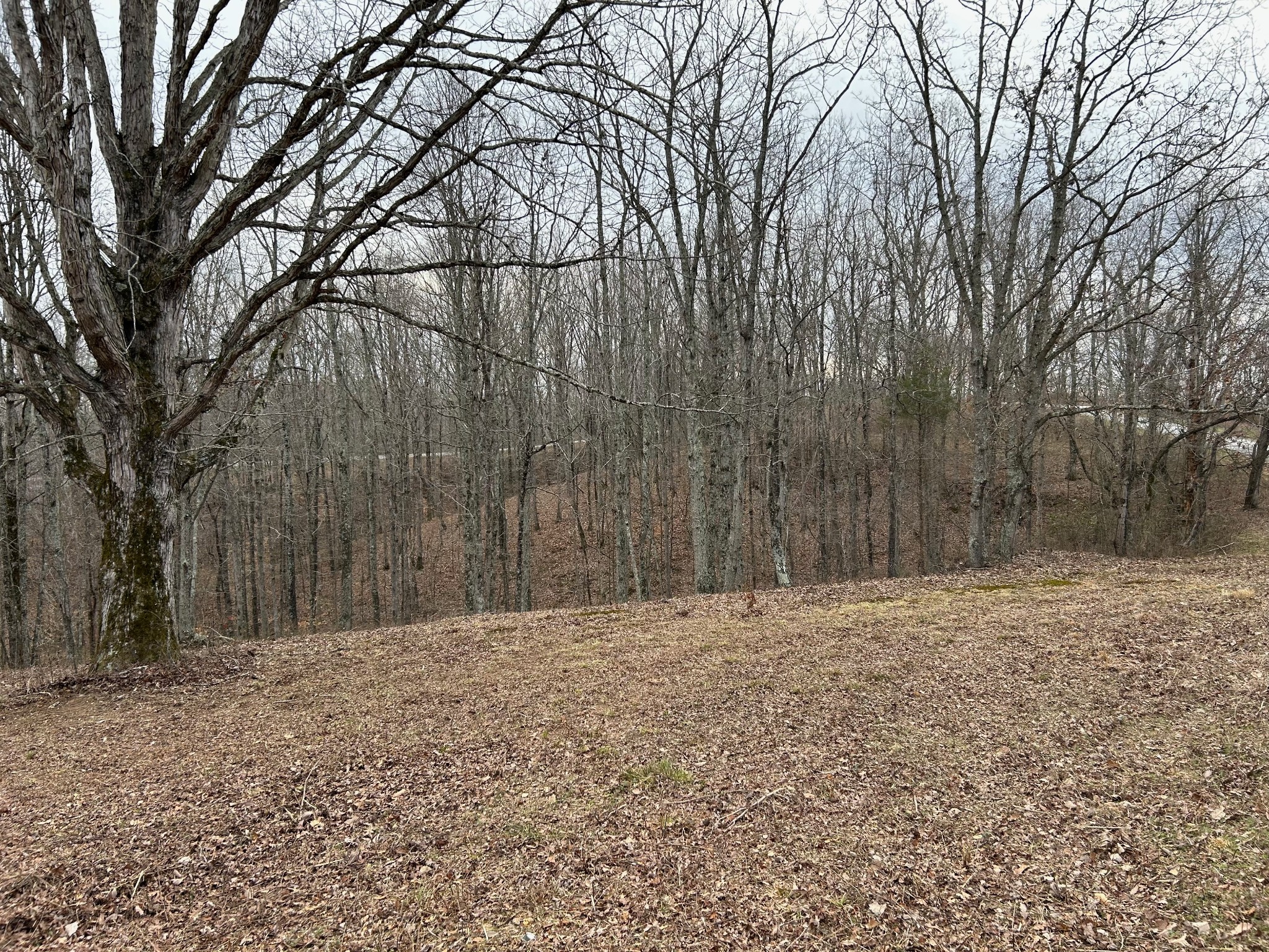 0 Tug Drive Waverly TN 37185