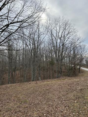 0 Tug Drive Waverly TN 37185