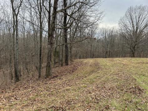 0 Tug Drive Waverly TN 37185