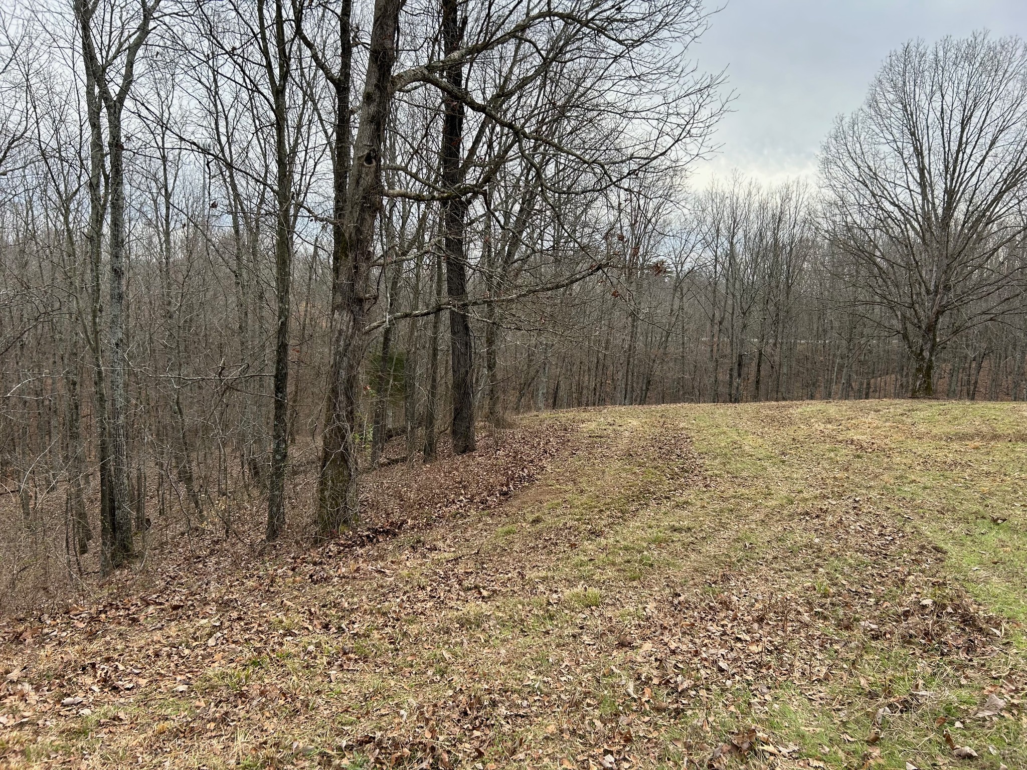 0 Tug Drive Waverly TN 37185