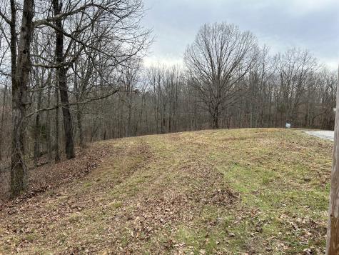 0 Tug Drive Waverly TN 37185