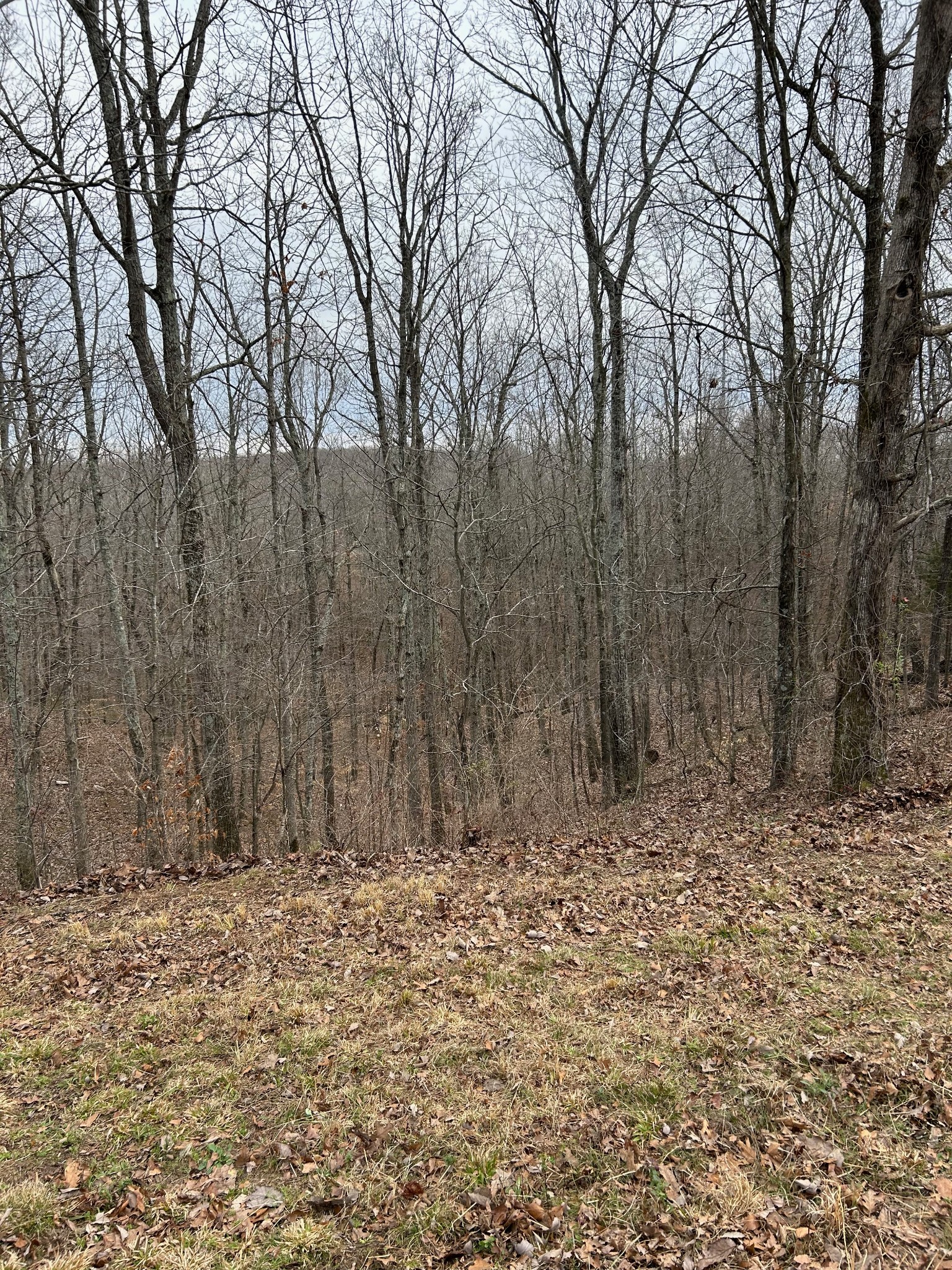 0 Tug Drive Waverly TN 37185