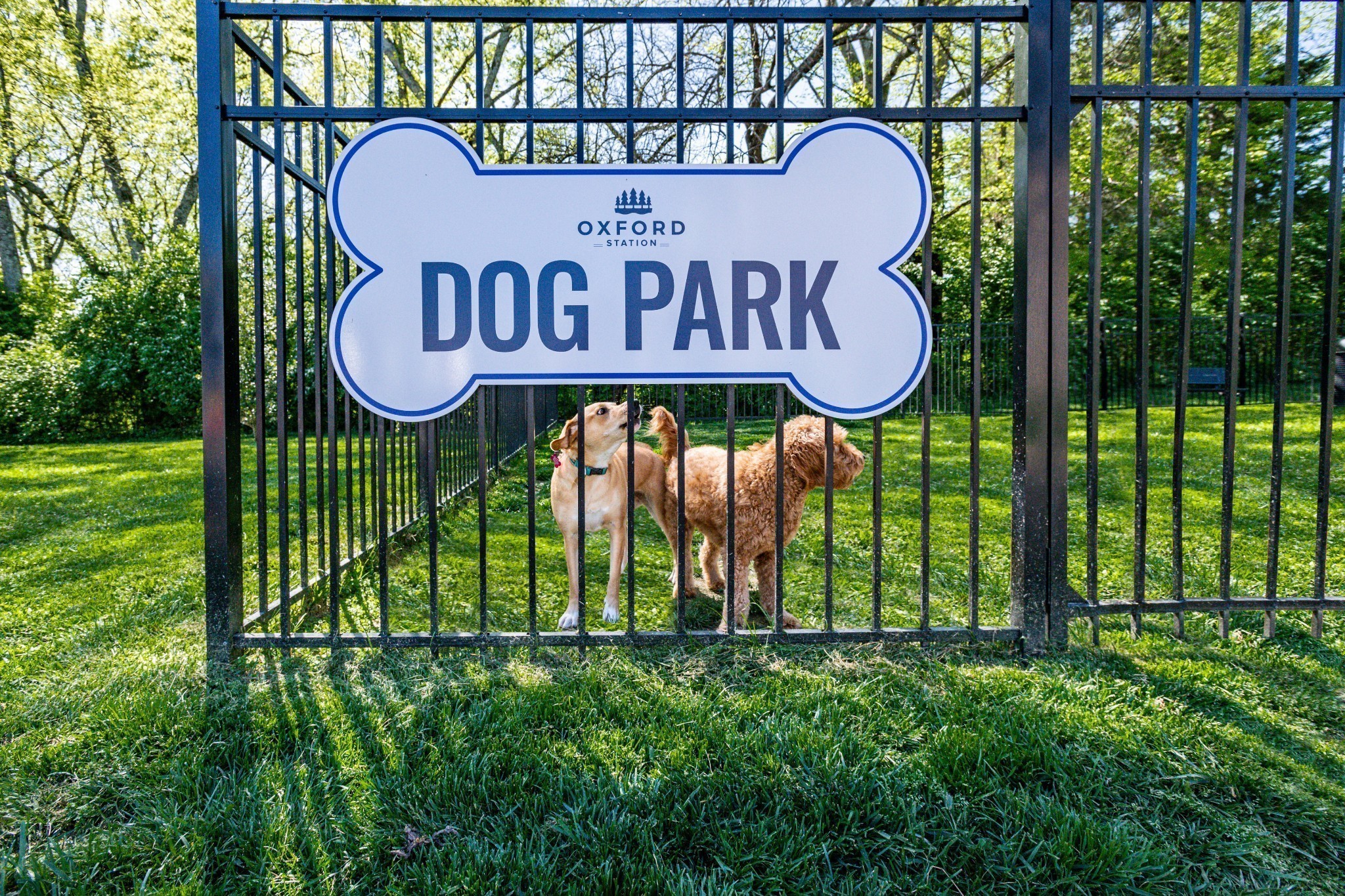 486 Bishop Boulevard Gallatin TN 37066