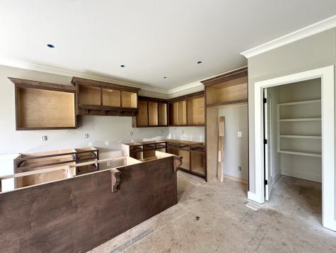 476 Greenfield Lane #1 Castalian Springs TN 37031