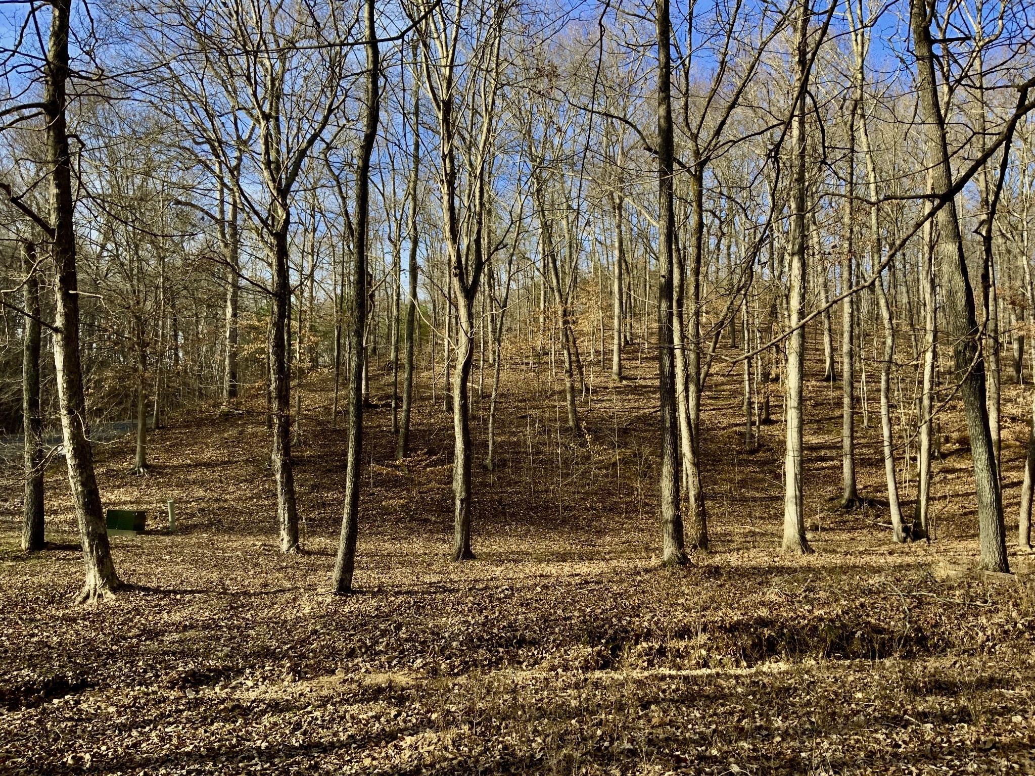 0 Forrest Crossing Waverly TN 37185