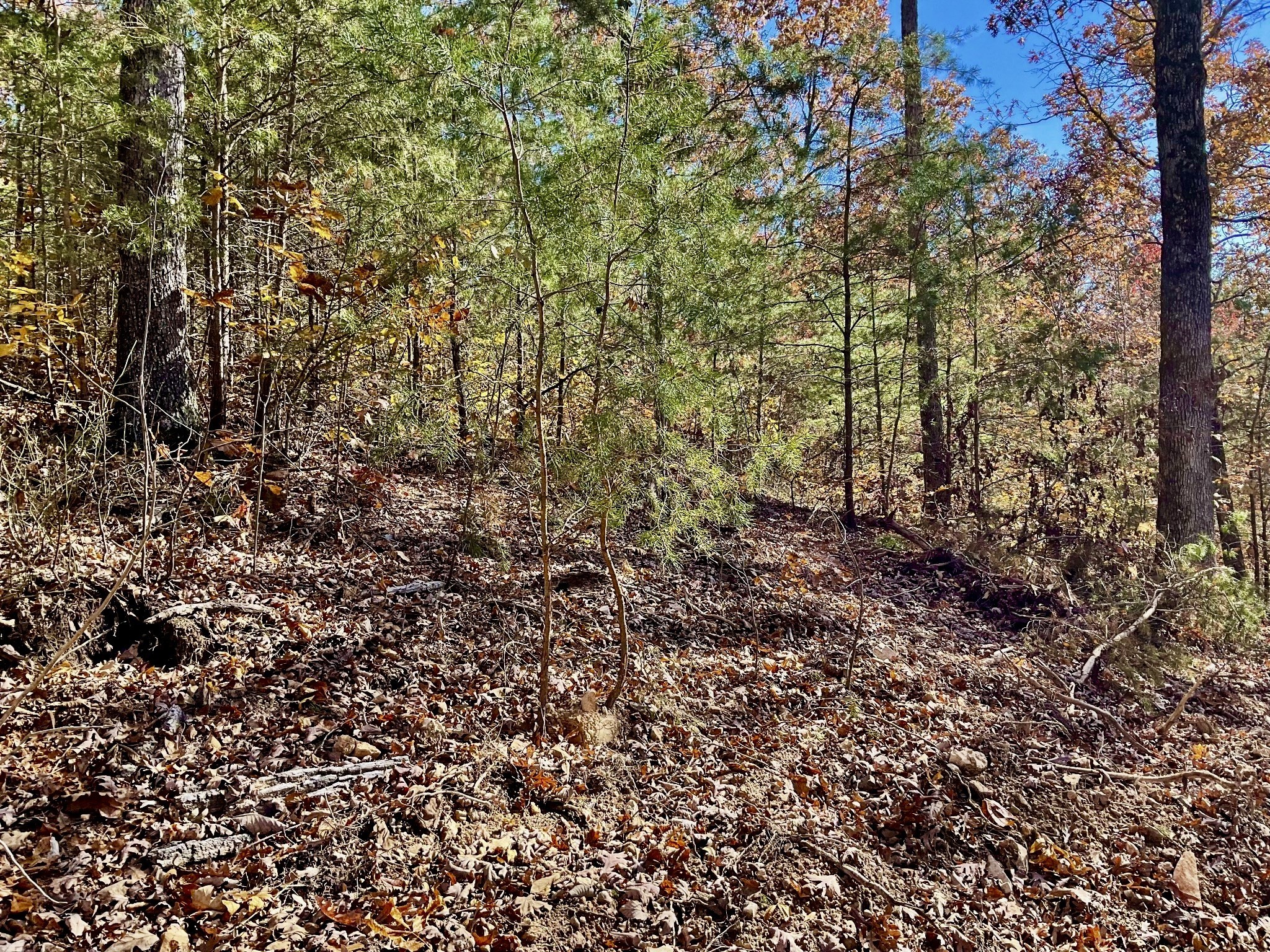 0 Forrest Crossing Waverly TN 37185