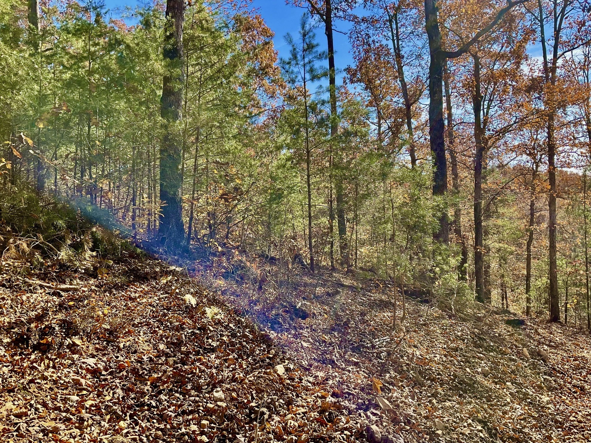 0 Forrest Crossing Waverly TN 37185