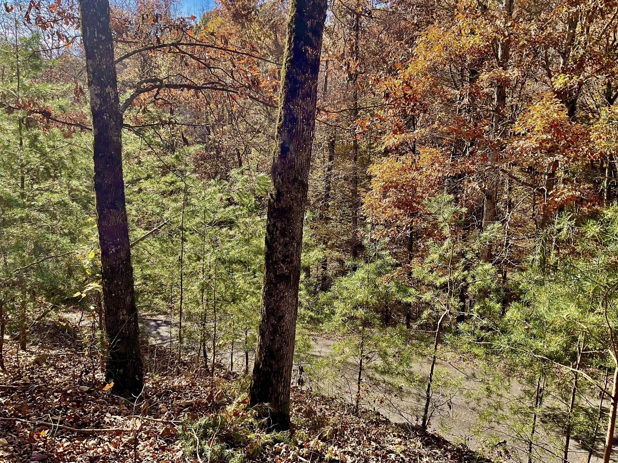 0 Forrest Crossing Waverly TN 37185