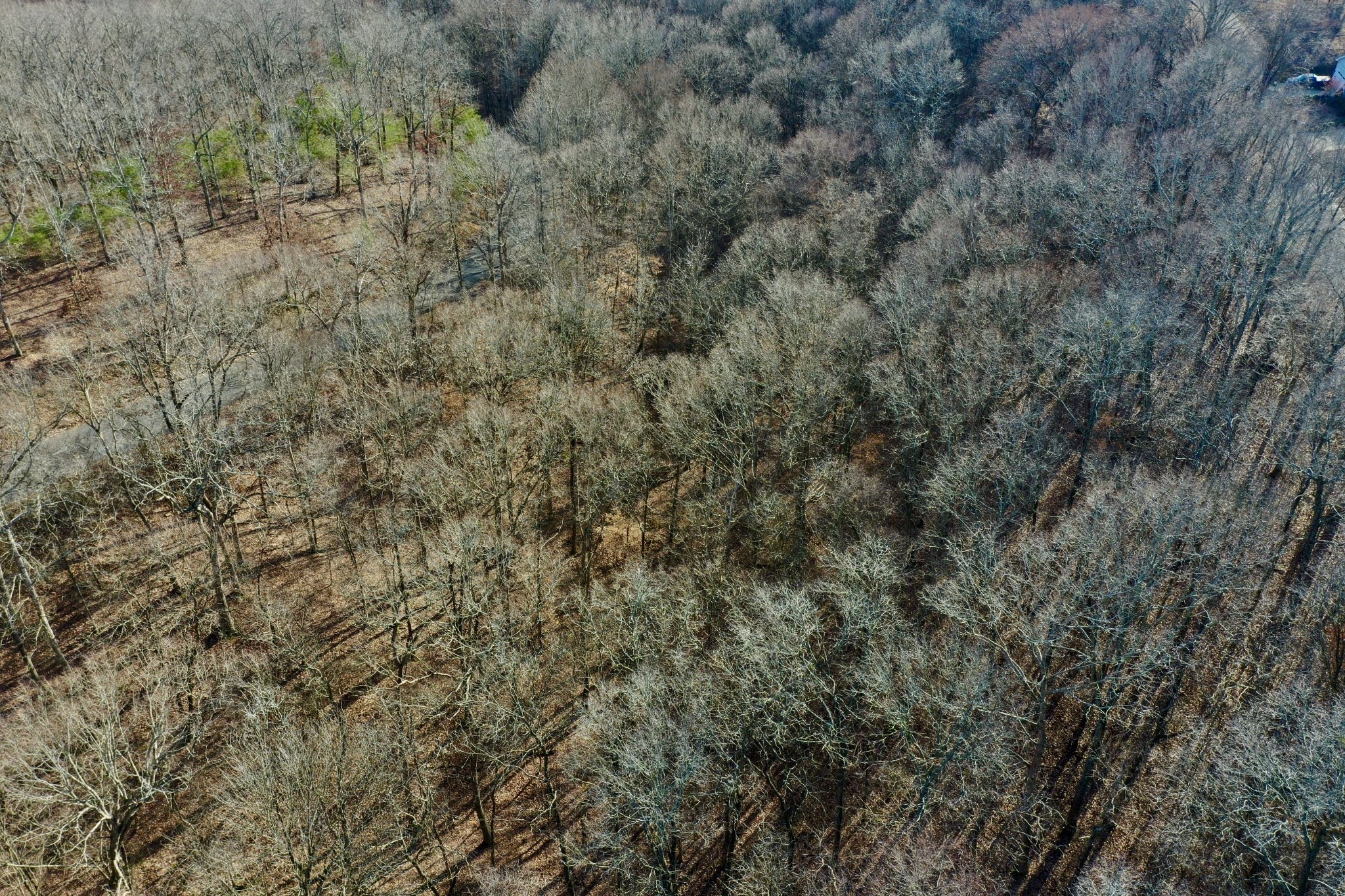 0 Forrest Crossing Waverly TN 37185