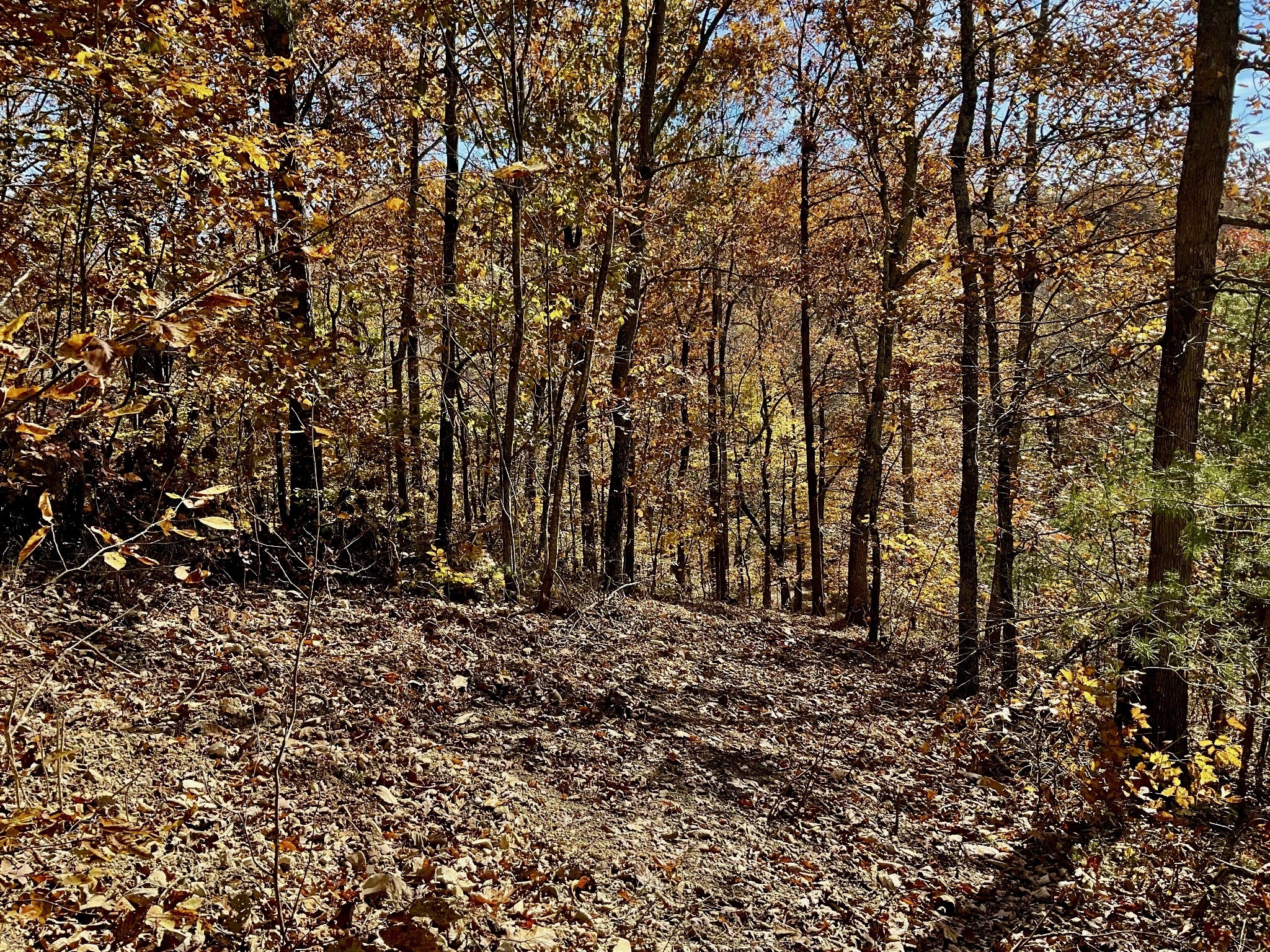0 Forrest Crossing Waverly TN 37185