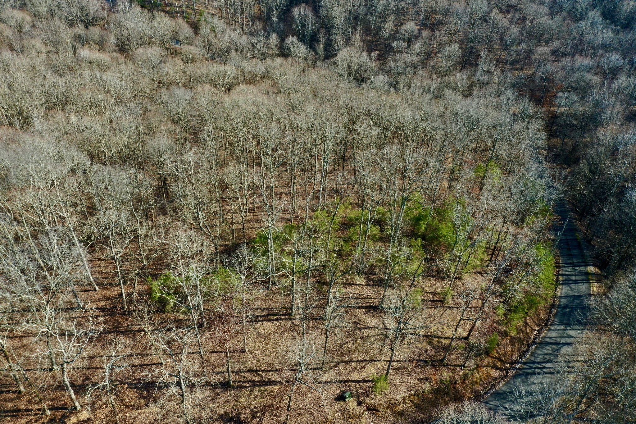 0 Forrest Crossing Waverly TN 37185