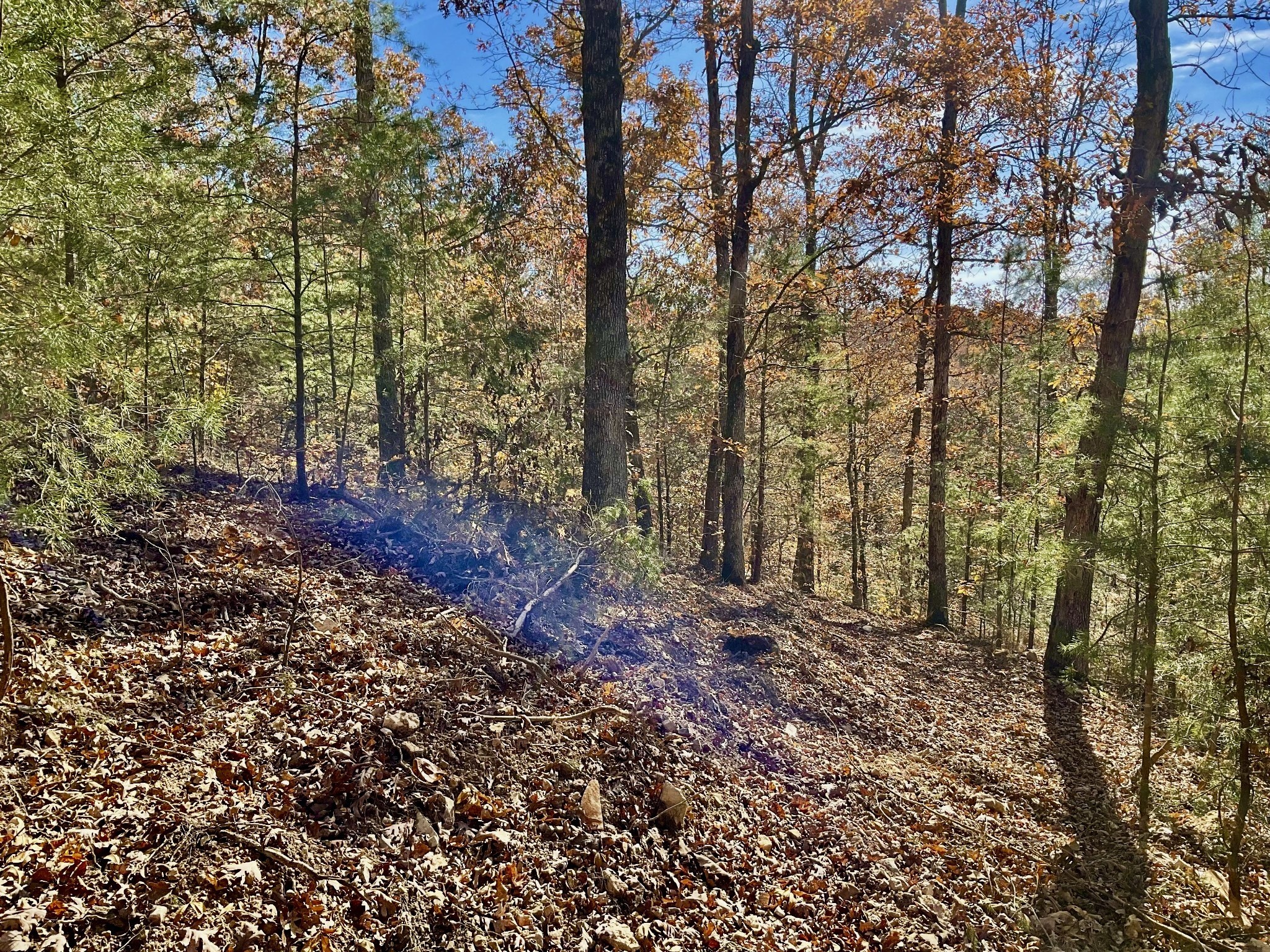 0 Forrest Crossing Waverly TN 37185