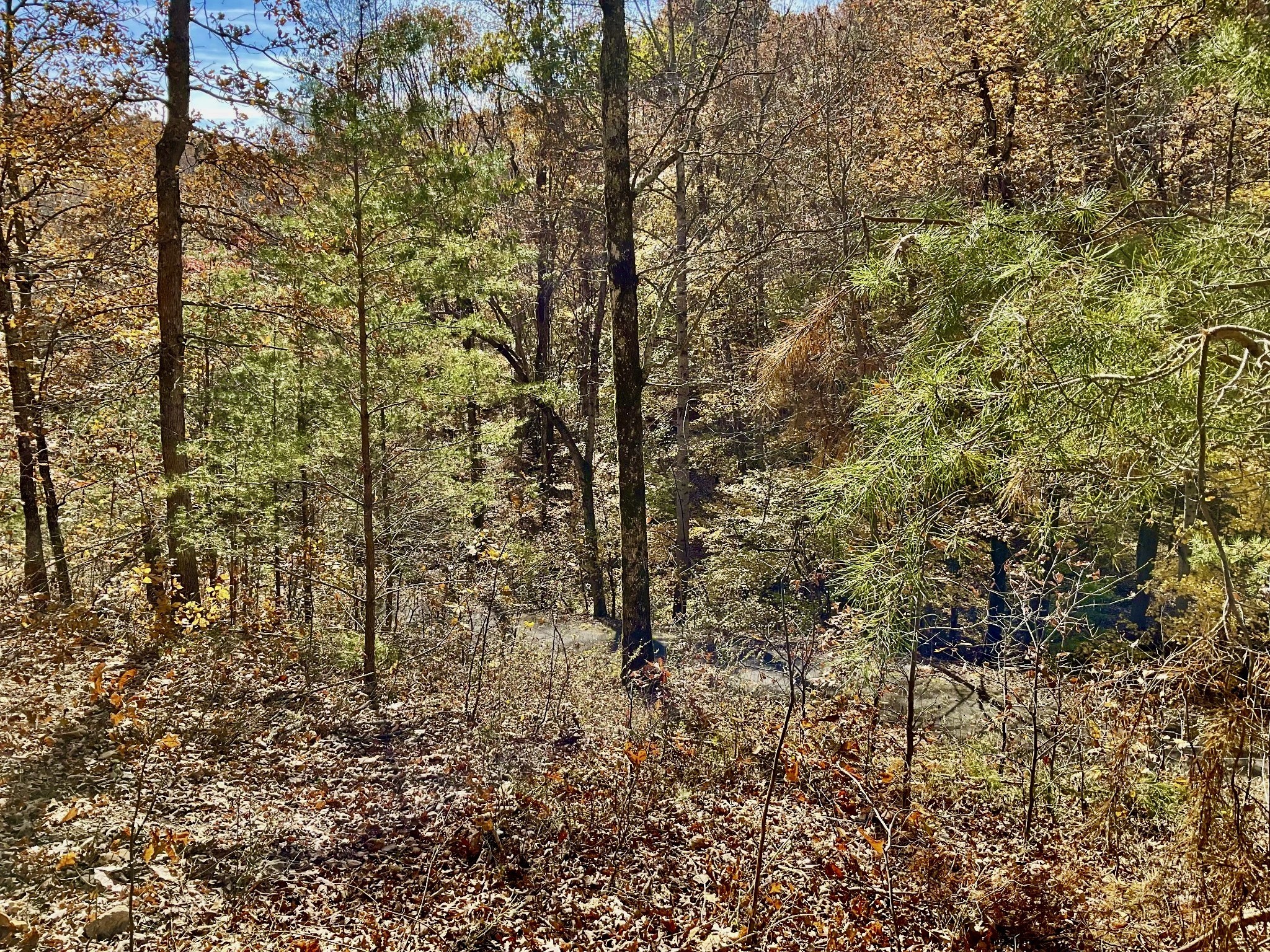 0 Forrest Crossing Waverly TN 37185