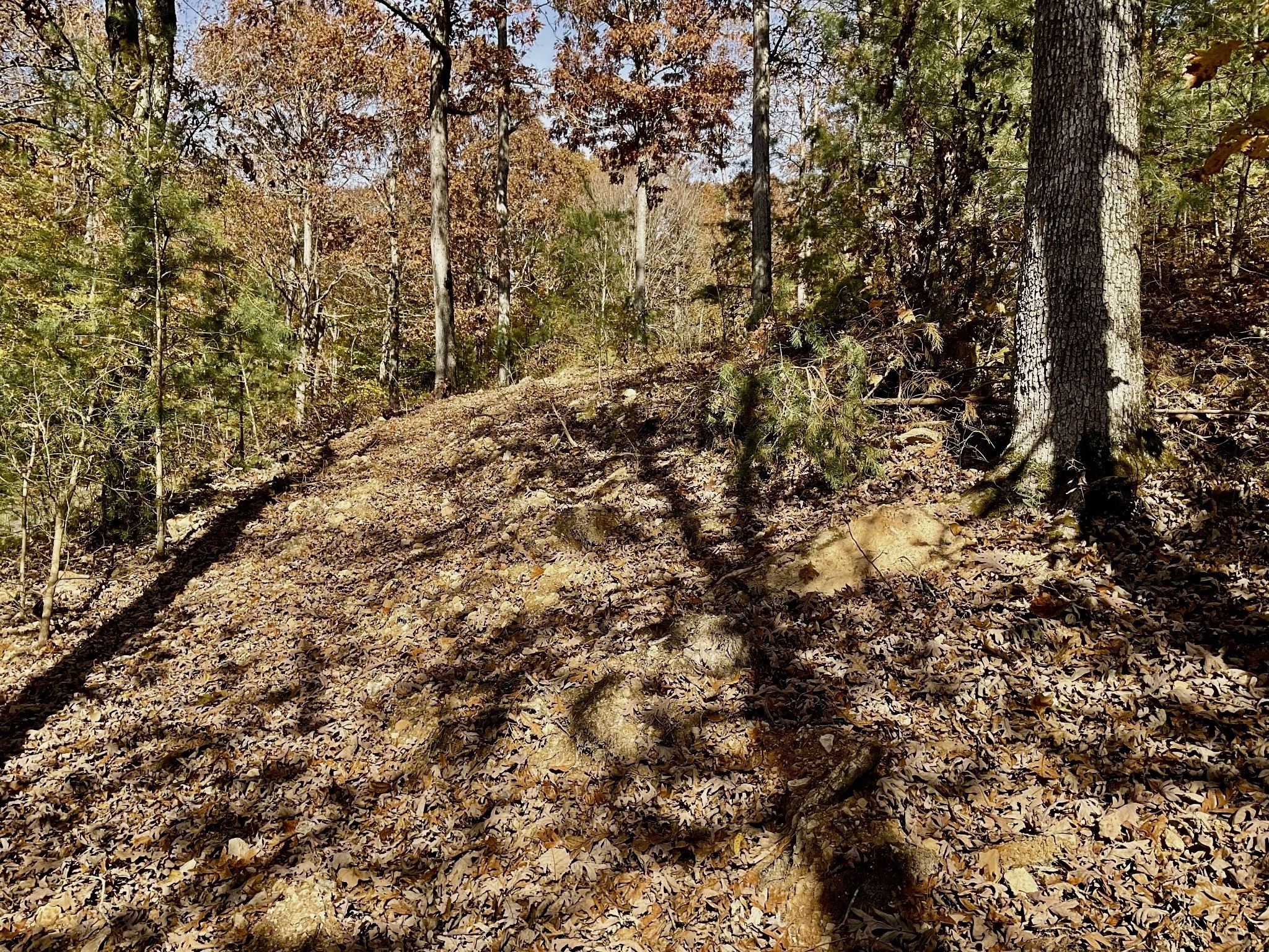 0 Forrest Crossing Waverly TN 37185