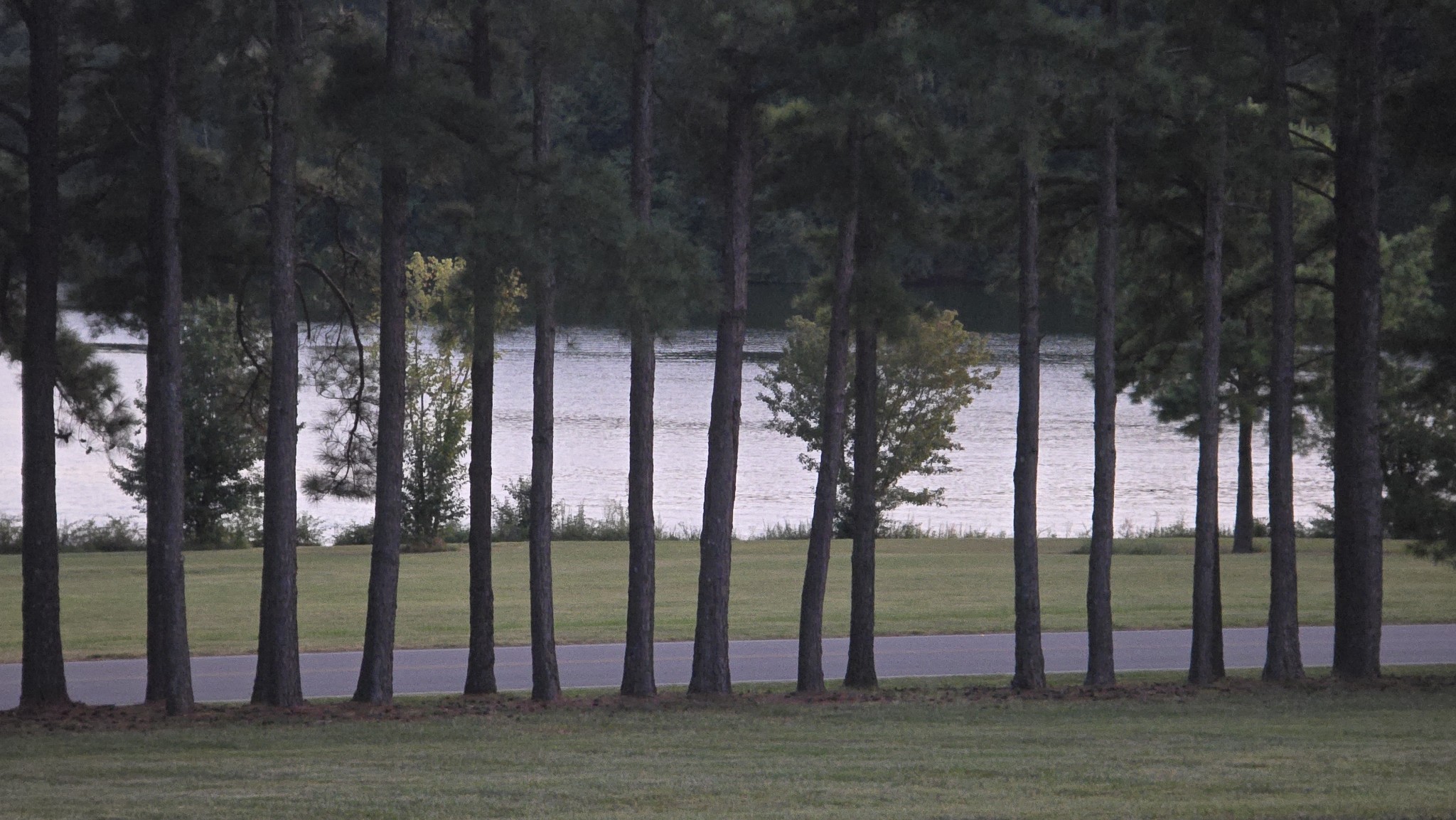 0 Dry Fork Drive Winchester TN 37398