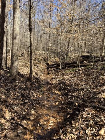 0 Cuba Landing Road Waverly TN 37185