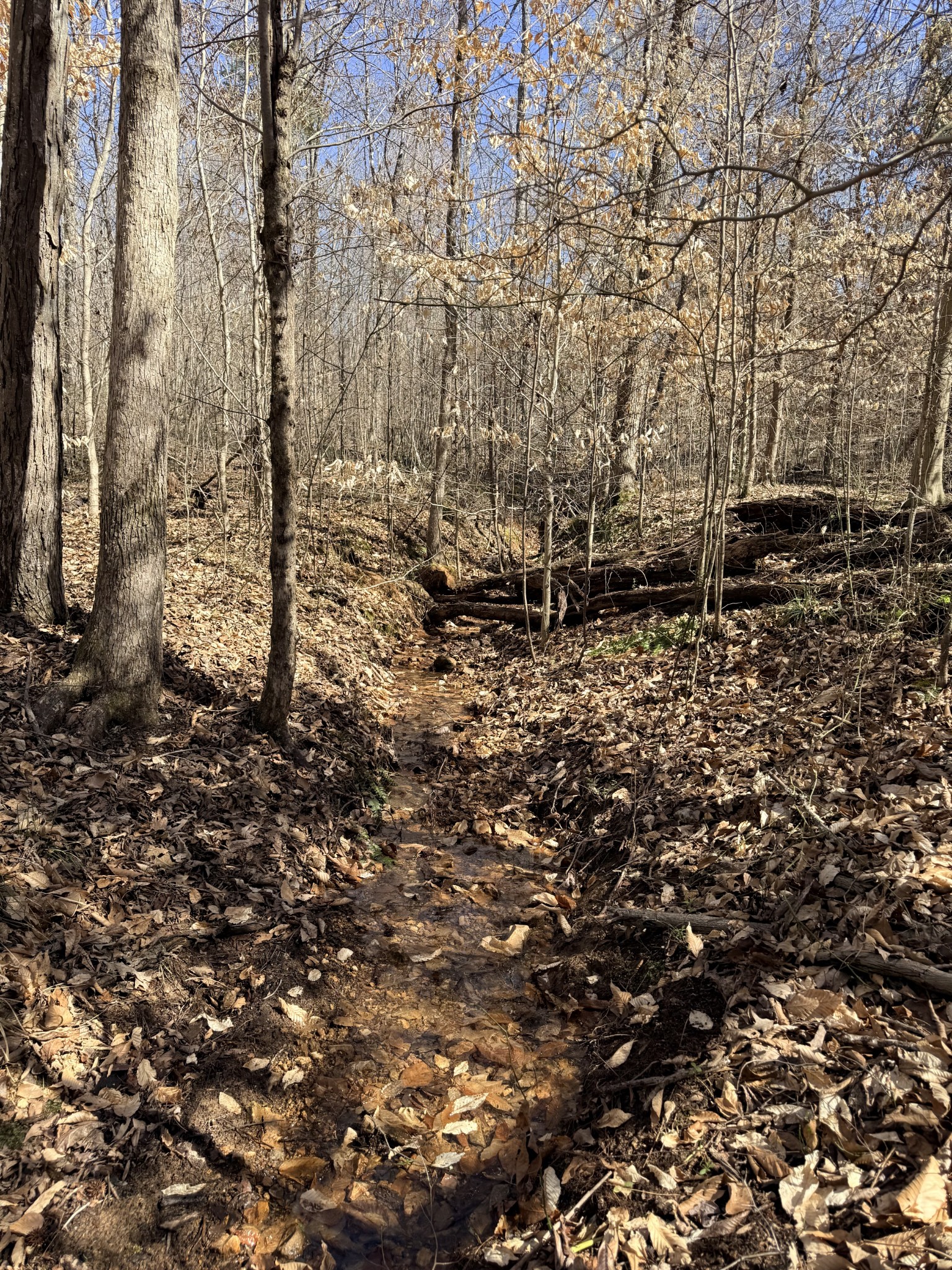 0 Cuba Landing Road Waverly TN 37185