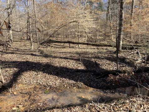 0 Cuba Landing Road Waverly TN 37185