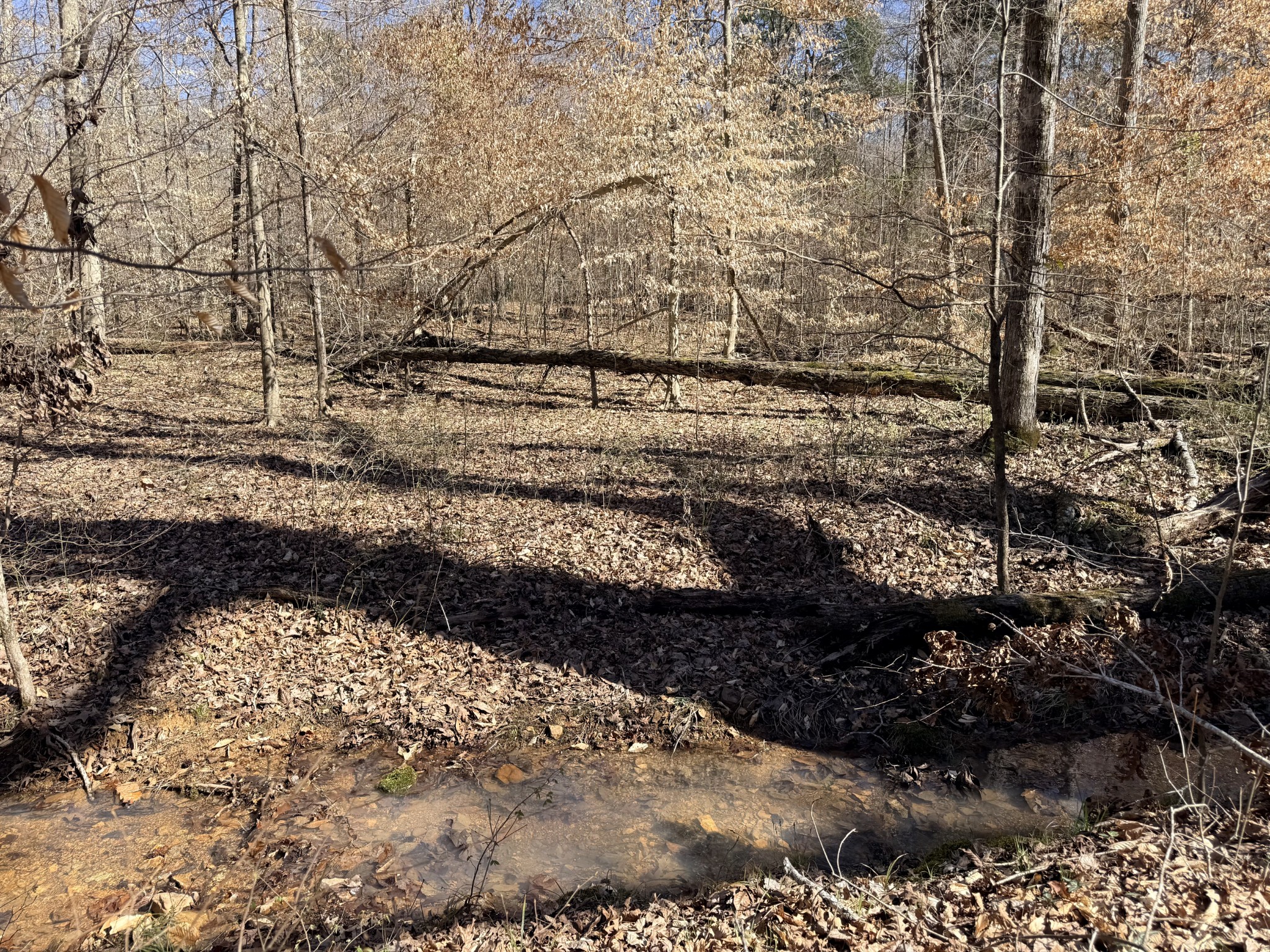 0 Cuba Landing Road Waverly TN 37185