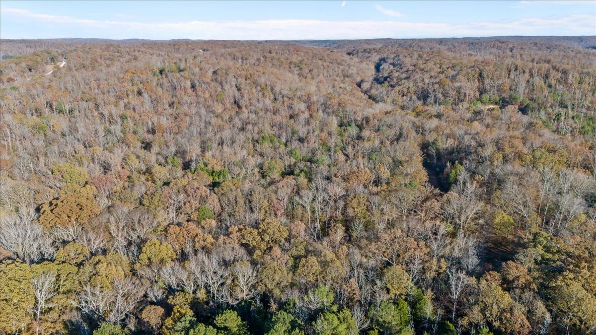 0 Cuba Landing Road Waverly TN 37185