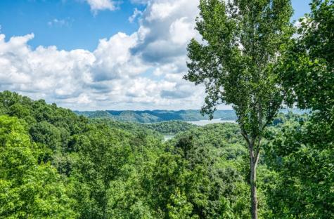 0 Coconut Ridge Road Smithville TN 37166
