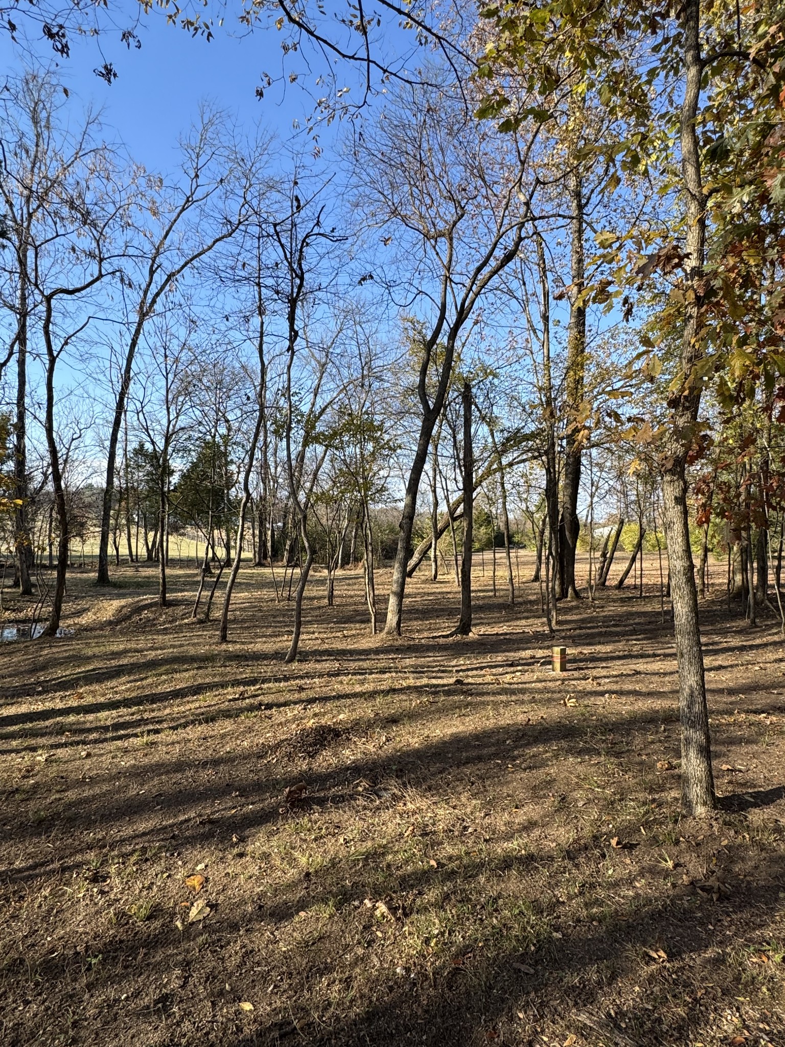 528 Hunting Hills Drive Mount Juliet TN 37122