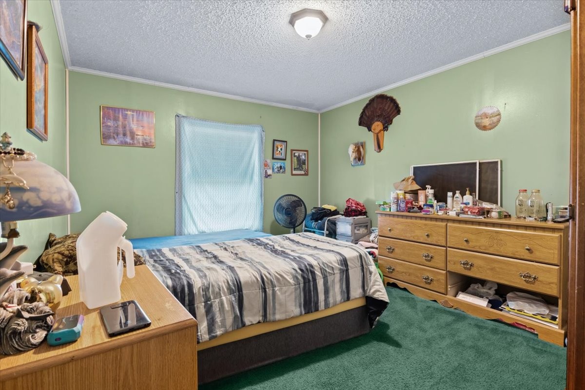 54 Tyler Lane Erin TN 37061
