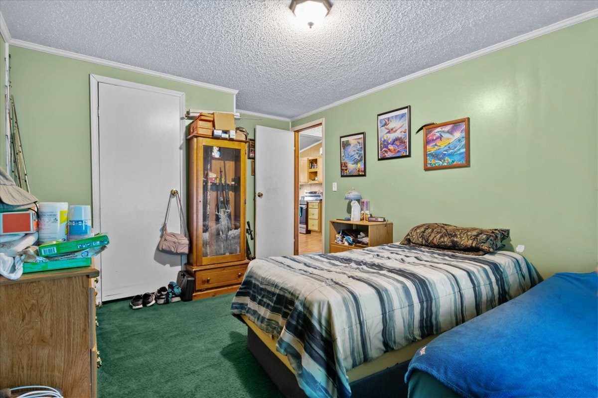 54 Tyler Lane Erin TN 37061