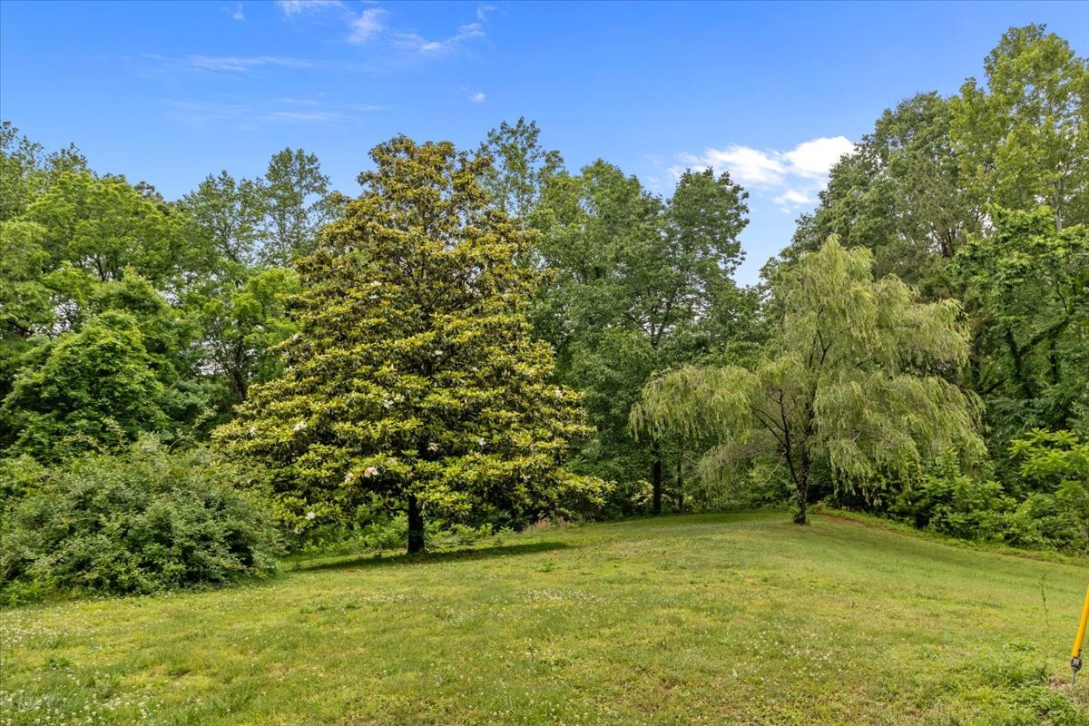 54 Tyler Lane Erin TN 37061
