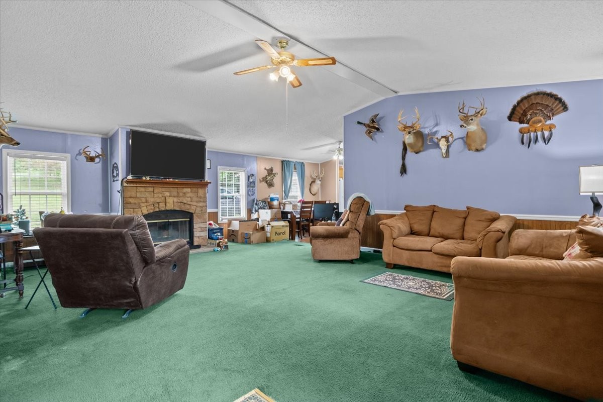54 Tyler Lane Erin TN 37061