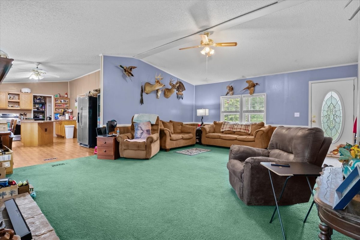 54 Tyler Lane Erin TN 37061