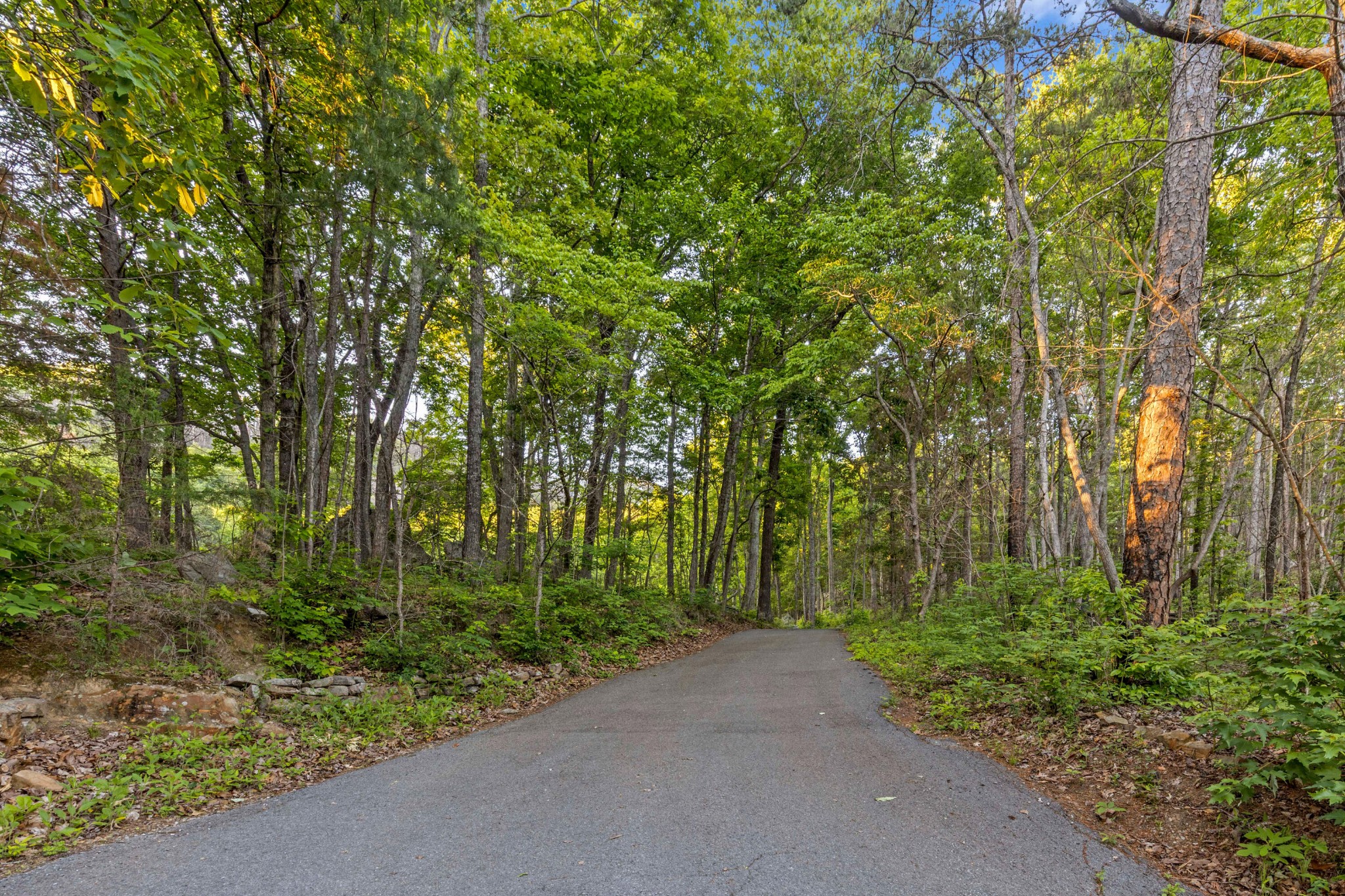 748 Woodcock Road Dunlap TN 37327