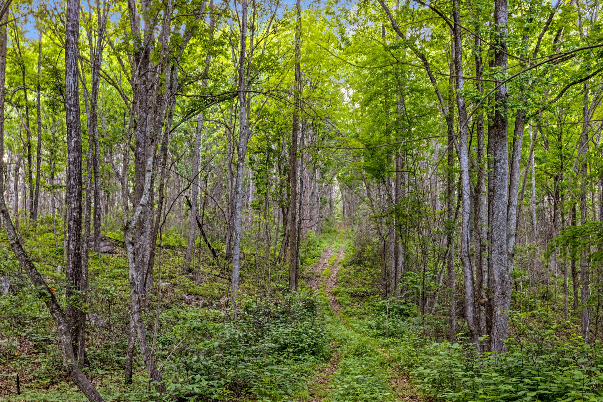 748 Woodcock Road Dunlap TN 37327