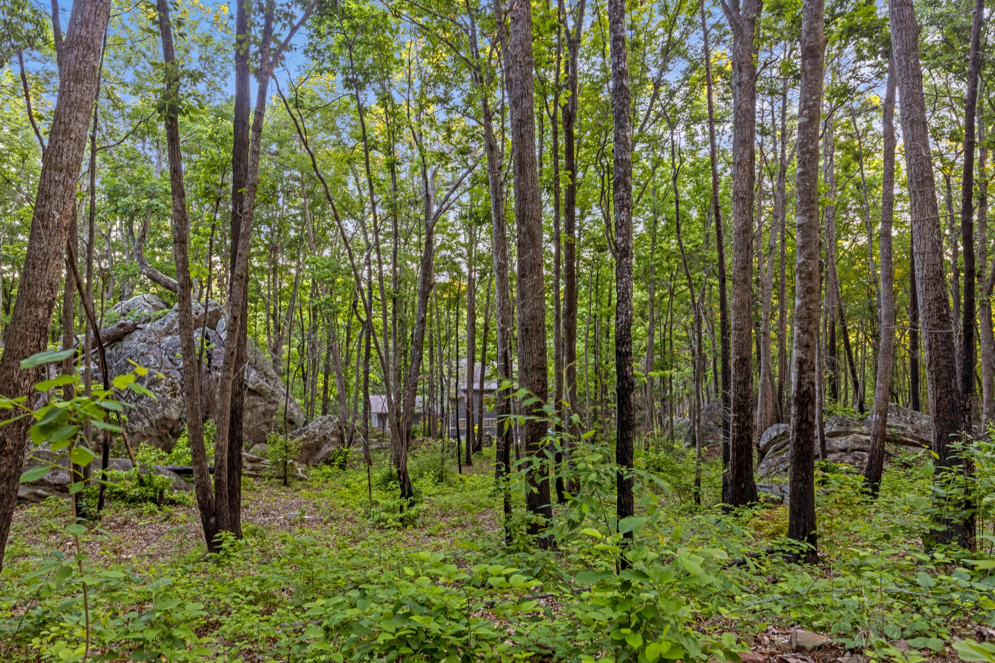 748 Woodcock Road Dunlap TN 37327