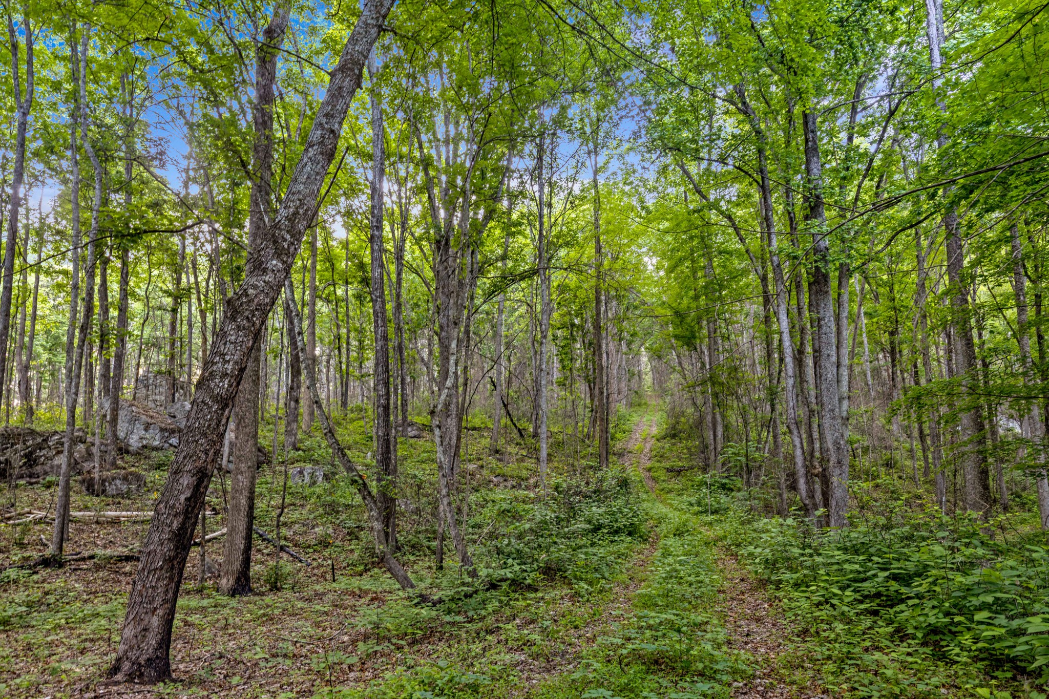 748 Woodcock Road Dunlap TN 37327