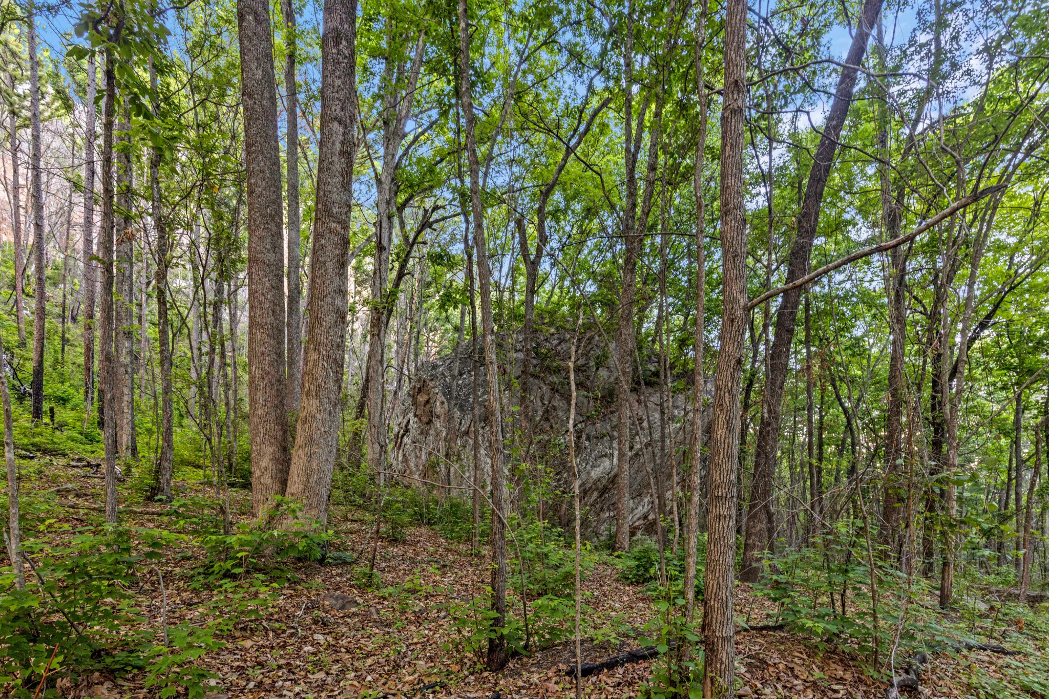 748 Woodcock Road Dunlap TN 37327