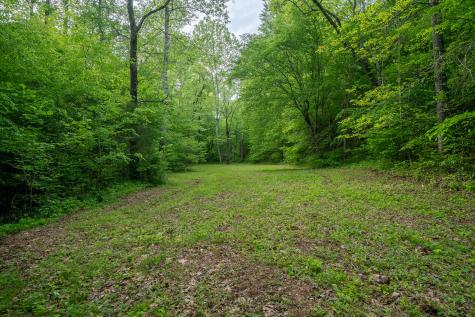 232 Rayann Drive Lawrenceburg TN 38464