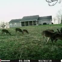 232 Rayann Drive Lawrenceburg TN 38464