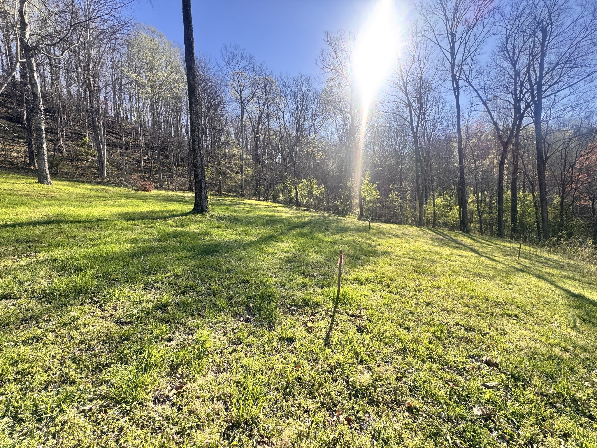 0 Lake View Drive Smithville TN 37166