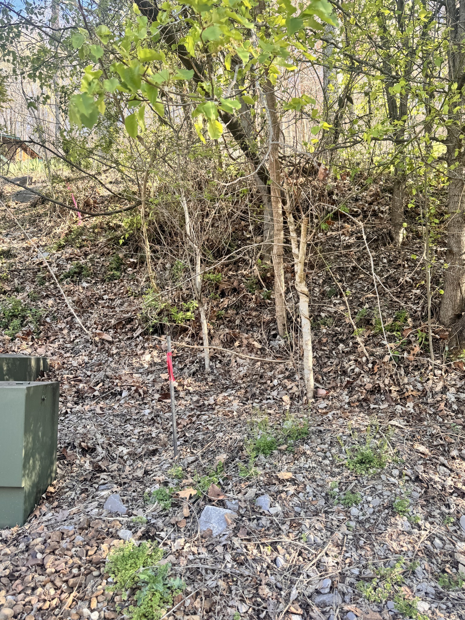 0 Lake View Drive Smithville TN 37166