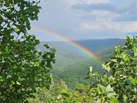 0 Grassy Ridge Road Lot 2 Beersheba Springs TN 37305