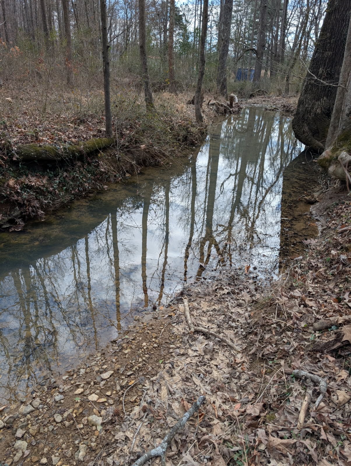 5000 Highway 100 Lyles TN 37098