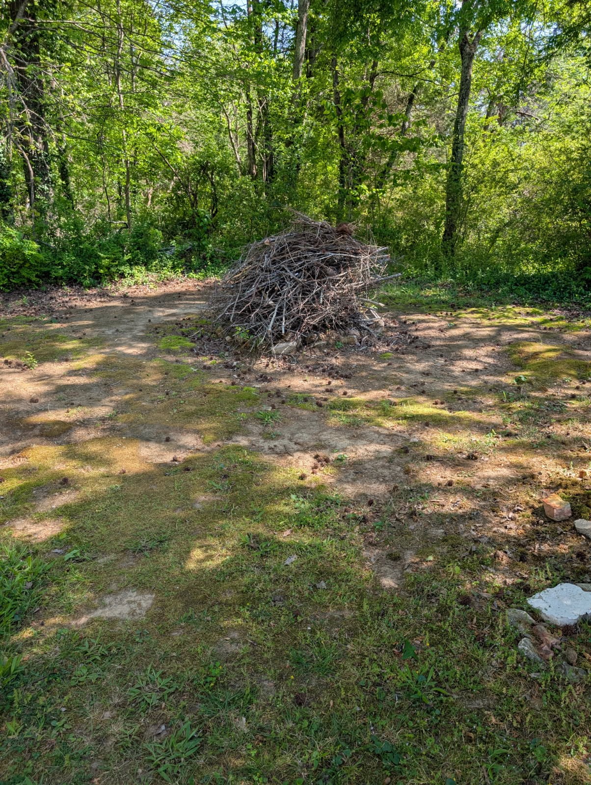 5000 Highway 100 Lyles TN 37098