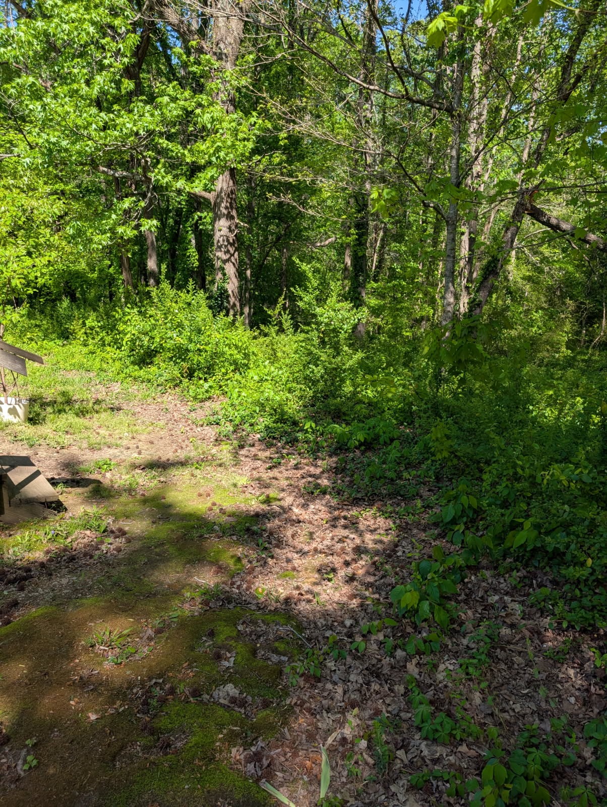 5000 Highway 100 Lyles TN 37098